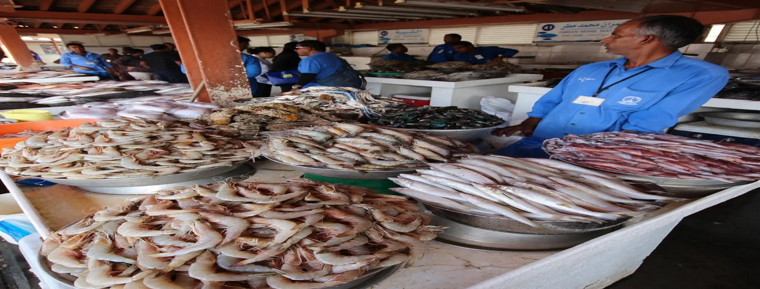 Image for Stable Market